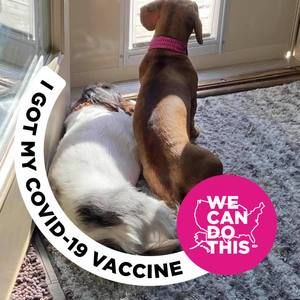 Meet your Posher, Lorraine